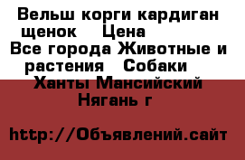 Вельш корги кардиган щенок  › Цена ­ 35 000 - Все города Животные и растения » Собаки   . Ханты-Мансийский,Нягань г.